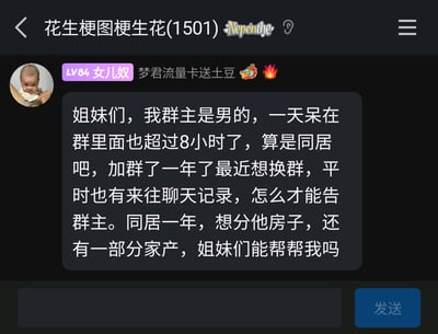这是一张QQ群聊的静态截图，群名称为“花生梗图梗生花(1501)”。群成员“LV84 女儿奴 梦君流量卡送土豆”发布了一段充满趣味的玩梗内容：将自己加入该群一年、每天在群内停留超8小时、和群主有聊天往来的线上相处模式，戏称为“同居一年”，还开玩笑地询问群内其他成员，怎么才能“告群主”，要求分割群主的房子和部分家产，用现实中同居财产分割的概念进行错位调侃，制造出反差笑点。