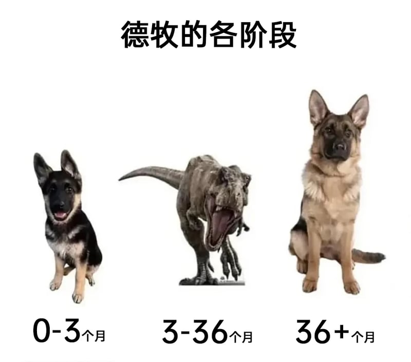 侏罗纪公园