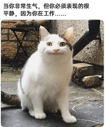 这是一张文字加注的照片改图，属于职场类表情包。图的上方配有文字“当你非常生气，但你必须表现的很平静，因为你在工作……”，下方是一只白灰相间的猫咪，它端坐在室外的地面上，眼睛瞪大，嘴角僵硬上扬，呈现出一种强行压抑怒火、故作平静的微笑表情，完美拟人化了职场人在工作中明明内心怒火中烧，却因为工作场合的限制不得不维持表面平静的无奈状态，用动物的生动表情来映射职场群体的普遍情绪，极易引发职场人的共鸣，常被用来在社交场景中调侃职场里压抑情绪的处境。