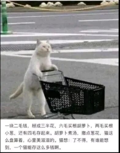 这是一张图文混排的静态图，上方是经过P图改编的照片：一只白色猫咪直立起身，两只前爪搭在黑色购物篮的边缘，姿态仿佛在推着购物篮，背景是户外的路面场景；下方配有一段拟人化的文字，以猫咪的视角讲述自己仅有一块二毛钱，将钱拆分规划使用：六毛买胡萝卜、两毛买小葱，剩余四毛存起来，还盘算着用胡萝卜煮汤撒葱花，为自己能存下钱而暗自得意，用拟人化的方式塑造出一个勤俭持家的猫咪形象，充满生活化的趣味。