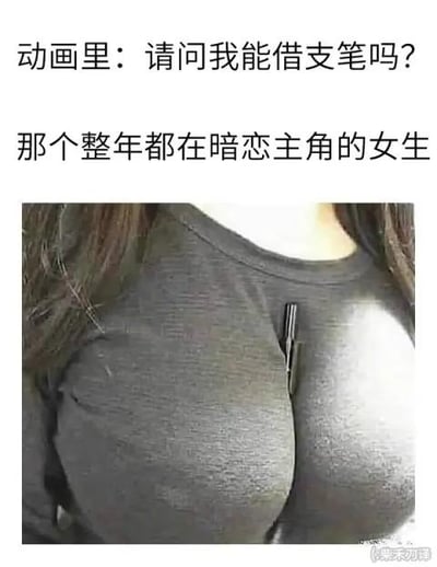 这是一张图文混排的梗图，上方配有文字“动画里：请问我能借支笔吗？那个整年都在暗恋主角的女生”，下方是一张真人女性的胸部特写图，女生将一支笔夹在胸口的衣服缝隙中，利用身材制造出暧昧的视觉暗示，调侃动画里暗恋主角的女性角色会用出格、暧昧的方式来吸引主角的注意，玩了低俗的暗示梗。