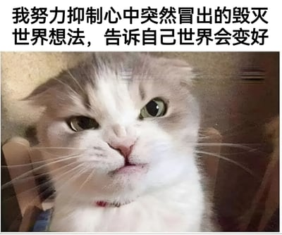 图片上方为黑色文字：'我努力抑制心中突然冒出的毁灭世界想法，告诉自己世界会变好'，下方是一张近距离拍摄的猫脸照片。猫咪毛色为灰白相间，眼睛睁大，眼神略带严肃和专注，嘴巴微抿，整体表情与上方文字形成反差萌，展现出一种内心挣扎又努力自我安慰的幽默效果。