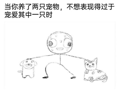 这是一幅充满趣味的手绘线稿静态图，画面核心是一个简笔画风格的人形角色，他面带微笑，双臂分别搭在左侧的小狗和右侧的小猫头上，身体姿势刻意保持平衡，以此来同时安抚两只宠物，避免出现偏心的情况。图的顶部配有文字“当你养了两只宠物，不想表现得过于宠爱其中一只时”，精准捕捉到了养有多只宠物的主人为了公平对待每只宠物，刻意“端水”的搞笑心态。画面中的小狗表情懵懂，小猫表情略显无奈，搭配人形角色的滑稽姿势，整体画风简单质朴却充满共鸣感，生动展现了养多宠家庭里的日常趣事。