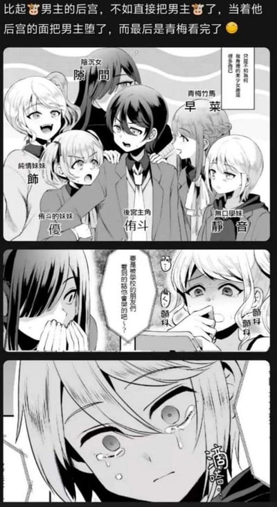 这是一张三格黑白漫画梗图，调侃后宫动漫套路。第一格中，后宫主角侑斗被六位性格各异的女性角色围绕，她们分别是阴沉女隙间、青梅竹马早菜、纯情妹妹饰、格斗的妹妹优和无口学妹静音，每个人物都有鲜明的表情和姿态。第二格展示两位女生震惊地看着手机屏幕，配文“看到的话他会哭的吧？”。第三格是一位女生流泪的特写，呼应了顶部文字“最后是青梅看完了”的剧情反转。图中用夸张的人物关系和表情制造喜剧效果，吐槽传统后宫动漫的套路。