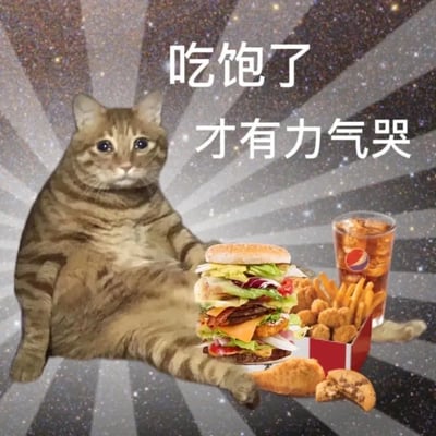 这张图片是一张典型的网络表情包，主角是一只坐姿肥胖且颓废的虎斑猫，面露无奈和委屈，身边堆满汉堡、薯条、炸鸡、饮料等垃圾食品。背景是充满昭示感的射线，突出了主角的‘高光’时刻。配文“吃饱了才有力气哭”运用文字与画面形成幽默反差，调侃了现实中人们在情绪低落时依然不忘吃东西、甚至食物成为情绪寄托的状态。

图片的情绪兼具‘丧’与‘治愈’，属于“自黑”类网络吐槽表情，其中蕴含“虽丧但要好好吃饭生活”、“打工人”精神调侃。没有明显谐音梗，但有反转和自嘲意味。