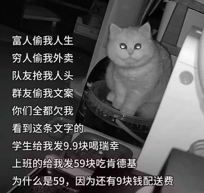 这是一张黑白风格的图文混排梗图，画面右侧是一只坐在类似容器中的猫咪，眼神委屈带着怨念；左侧是一大段吐槽文字，先是以夸张的语气列举各种“被侵害”的倒霉事：富人偷人生、穷人偷外卖、队友抢人头、群友偷文案，随后声称所有人都欠自己，最后向看到内容的学生索要9.9元买瑞幸咖啡，向上班族索要59元（含9元配送费）买肯德基，用戏精式的怨种语气玩梗，是年轻人用来吐槽日常、开玩笑讨要奶茶钱的表情包。