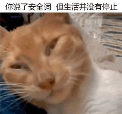 图片主体为一只浅色橘猫的特写，猫咪表情略显疲惫，一只眼睛微眯，侧躺在模糊的家居背景中。图片顶部配有文字“你说了安全词 但生活并没有停止”，通过“安全词”这一通常用于示意停止的概念，隐喻即使人们想要暂停生活的压力或困境，生活依然会继续，营造出一种无奈又带点自嘲的幽默氛围。