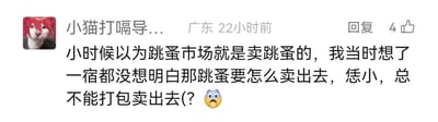 这是一张社交媒体评论的截图，来自用户“小猫打嗝导...”，IP地址显示为广东，发布于22小时前，该评论获得了4个点赞。评论内容是用户分享自己童年时期对“跳蚤市场”的可爱误解：小时候误以为“跳蚤市场”是售卖跳蚤的地方，因为跳蚤体型极小，用户纠结了一整晚都想不通要如何将跳蚤卖出去，甚至疑惑是不是要打包售卖，最后配上了一个惊讶的表情符号，充满了童真的趣味，很容易引发其他网友的共鸣。