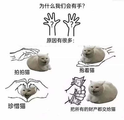 这是一张以“为什么我们有手”为主题的搞笑 meme，顶部用文字和带问号的手形图标提出哲学式问题，下方分四格展示“手的终极用途”：分别是拍拍猫、抱着猫、用手比心珍惜猫，以及把所有财产交给猫。每格中都有一只表情傲娇又满足的白胖猫，配合简笔画风格的手形插图，形成幽默反差。核心笑点在于将手的进化意义调侃为“服务猫咪”，精准戳中铲屎官的共鸣。