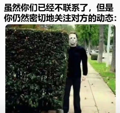 图片上方有醒目的黑色文字：“虽然你们已经不联系了，但是你仍然密切地关注对方的动态：”，下方是一张电影截图，图中经典恐怖角色Michael Myers（身着黑色衣物、佩戴白色面具）正躲在茂密的绿色树篱后，只露出上半身窥视着前方的人行道。整体通过恐怖角色的“监视”行为与日常“偷偷关注他人动态”的场景形成幽默反差，调侃了人们在社交关系中既想保持距离又忍不住关心对方近况的矛盾心理。