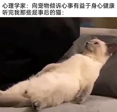 这是一张图文结合的搞笑网络梗图，上方配文先引用心理学家的专业观点“向宠物倾诉心事有益于身心健康”，紧接着用“听完我那些屁事后的猫：”引出下方的猫咪画面。画面中的猫咪仰靠在靠垫上，四肢放松地摊开，眼神向上放空，呈现出一种被主人的烦心事“轰炸”后，疲惫、生无可恋、仿佛被掏空的状态。图中通过猫咪的真实反应和心理学家的观点形成强烈反差，制造出幽默效果，调侃自己生活中的烦心事过多，连倾听的宠物都被“累到”，容易引发有类似经历的网友共鸣。