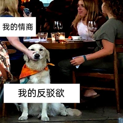 这张梗图拍摄于餐厅场景，一只戴着橙色围巾的金毛犬端坐在地面，嘴巴被旁边的人用手紧紧捂住。画面左上角的文字标注为“我的情商”，底部标注为“我的反驳欲”，用这个生动的画面比喻人们在人际交往中，内心明明有着强烈的反驳他人的想法，却被自己的理智与情商强行压制，只能将反驳的念头憋在心里的矛盾状态，精准戳中很多人在社交场合的内心感受。