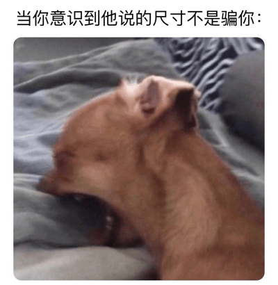 图片上方有文字“当你意识到他说的尺寸不是骗你：”，下方是一只棕色小狗趴在床上的照片。小狗低着头，耳朵竖起，表情看起来有些惊讶和难以置信，完美契合了文字所表达的“意识到对方说的尺寸是真实的”这一情景，通过动物的表情来幽默地展现人们面对意外事实时的反应。