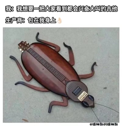 这张梗图分为上下两部分，上面配有搞笑对话，下面是一张将吉他与蟑螂形象结合的DIY乐器照片。图上对话颇具网络段子风格：‘我：我想要一把大家看到都会兴奋大叫的吉他，生产商：包在我身上👌’，配合下方那把形似巨大蟑螂的吉他形成强烈反差与意外感。

双关/趣味点说明：‘大家都会兴奋大叫’这里利用了‘看到蟑螂大家都会尖叫’的日常心理，产生幽默效果，有轻微恶趣味。