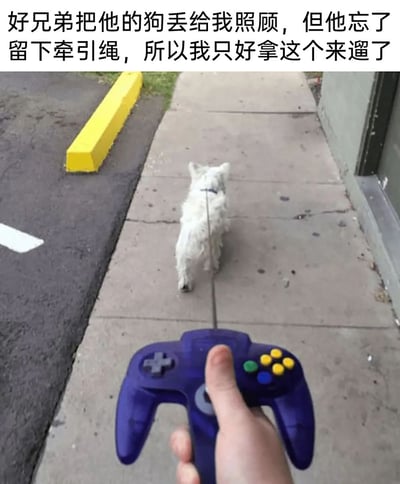 这是一张充满创意的搞笑静态图片，画面中一只白色的宠物狗在室外人行道上向前行走，拍摄者的手拿着一个紫色的任天堂N64游戏手柄，手柄的摇杆位置伸出一根线，连接在小狗的项圈上，以此代替牵引绳。图片上方配有文字说明：“好兄弟把他的狗丢给我照顾，但他忘了留下牵引绳，所以我只好拿这个来遛了”，通过将游戏手柄和遛狗牵引绳结合，制造出一种“用手柄操控小狗”的趣味视觉效果，充满了玩梗的幽默感，展现了日常照顾宠物时的创意趣味瞬间。