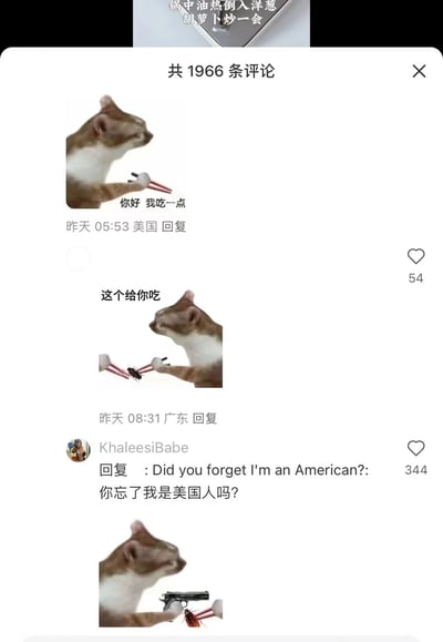 这是一段来自短视频平台评论区的搞笑互动内容，用户使用网络流行的“拿筷子的猫”系列表情包展开对话：IP显示为美国的用户发布猫举筷子配文“你好 我吃一点”的梗图，索要食物；IP为广东的用户回复猫用筷子夹着蟑螂的梗图配文“这个给你吃”，玩了部分地区吃昆虫的梗；随后原用户回复“你忘了我是美国人吗？”，并配上猫举枪对着蟑螂的梗图，结合美国人不吃昆虫的饮食文化差异，以及美国的枪支文化，制造出反差感十足的搞笑效果，评论的点赞数也体现了该互动的趣味性，整体充满网感，是典型的评论区整活内容。