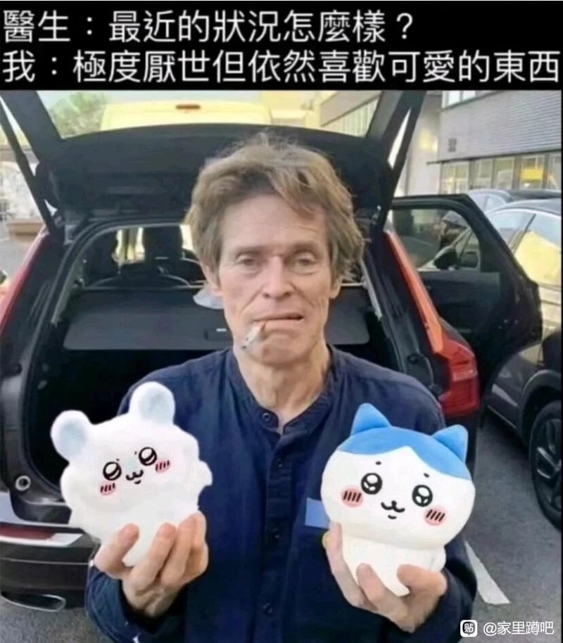 哈奇瓦力