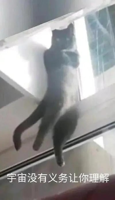 这是一张充满趣味的视觉错位梗图，一只黑猫趴在玻璃表面，由于拍摄角度的巧合，它的四肢和身体呈现出怪异的姿态，看起来仿佛拥有三条腿，造型荒诞又滑稽。图片下方配有文字“宇宙没有义务让你理解”，用这句带有哲理感的文案搭配猫咪怪异到无法理解的姿势，形成强烈的反差感，传递出一种“面对无法理解的人或事不必纠结，坦然接受即可”的调侃情绪，适合用来表达对生活中那些摸不着头脑的情况的无奈与释怀。