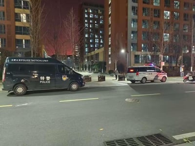 深夜的城市街道场景，两辆公安车辆停靠路边。左侧为黑色的合肥公安特警战术单元车辆，车身上有“合肥公安 POLICE TACTICAL UNIT”和“特警 POLICE”标识；右侧为白色公安面包车，车顶警灯闪烁。背景是亮着灯光的高层居民楼，路边有几棵无叶树木，一名行人站在人行道上。天空呈暗红色，可能受城市灯光影响，整体氛围严肃。