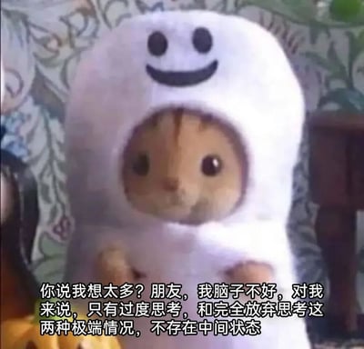 图片中是一只穿着白色微笑表情costume的小动物玩偶（可能是仓鼠），背景为带有花纹的窗帘。玩偶下方配有文字：'你说我想太多？朋友，我脑子不好，对我来说，只有过度思考，和完全放弃思考这两种极端情况，不存在中间状态'。整体通过可爱的玩偶形象与自嘲式的文字形成幽默对比，表达了对自身思考方式极端化的调侃。
