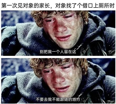 这是一张上下双格对比的表情包，使用了《指环王》中弗罗多·巴金斯哭泣的经典剧照。上图文字为“别把我一个人留在这”，下图文字为“不要去我不能跟随的地方”，配合顶部标题“第一次见对象的家长，对象找了个借口上厕所时”，幽默地表现了第一次见家长时被单独留下的尴尬与无助心情。