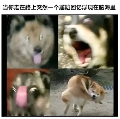 这是一张四格拼图形式的梗图，通过柴犬的表情和动作变化来幽默表现人们突然想起尴尬回忆时的反应。第一张图中柴犬瞪大眼睛，表情惊讶；第二张图柴犬张大嘴巴，显得十分震惊；第三张图柴犬用爪子捂住脸，露出尴尬的神情；第四张图柴犬转过身去，似乎想要逃离这个让它尴尬的回忆。图片上方配有文字：'当你走在路上突然一个尴尬回忆浮现在脑海里'，精准概括了图片所要表达的核心情景。