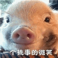 图片中是一只小猪的特写镜头，它有着圆润的额头和突出的粉色鼻子，眼睛睁得大大的，眼神中带着一丝狡黠。最引人注目的是它嘴角微微上扬，形成了一个看似无辜却又暗藏“挑衅”的表情，下方配有文字“一个挑事的微笑”，精准概括了小猪的神态，整体营造出一种既可爱又搞笑的氛围，仿佛这只小猪正在用表情“搞事情”。