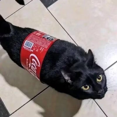 这是一张经过P图改编的趣味图片，将一只纯黑猫咪的身体与可口可乐的瓶身标签结合，利用黑猫深色毛发和瓶子的视觉重合度，营造出黑猫变成可口可乐瓶的错觉。黑猫睁着圆溜溜的黄绿色眼睛，趴在瓷砖地面上，表情懵懵懂懂，整体画面滑稽有趣，充满恶搞趣味。