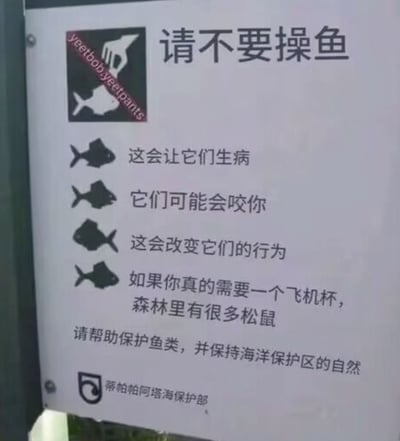 一张幽默风格的警告标志图片，标题为“请不要操鱼”，下方列出了四个理由：“这会让它们生病”、“它们可能会咬你”、“这会改变它们的行为”，以及一个滑稽的建议“如果你真的需要一个飞机杯，森林里有很多松鼠”。底部还有正式的保护标语“请帮助保护鱼类，并保持海洋保护区的自然”。左上角有“yeetbob_yeetpants”标识，底部有“帝柏帕阿塔海保护部”字样。图片通过夸张和双关语制造幽默效果，将严肃的保护主题与低俗笑话结合。