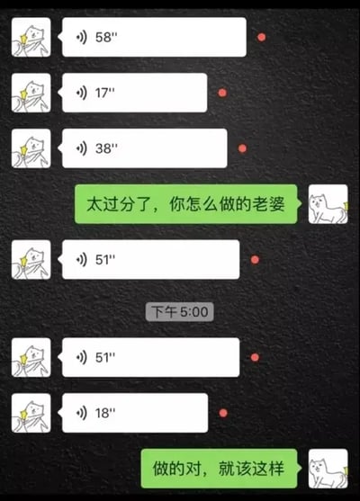 这张图片模拟了一段微信聊天记录。一方连续发送了多个较长的语音消息，而另一方用绿色对话框回复了“太过分了，你怎么做的老婆”和“做的对，就该这样”。从内容来看，这可能表现夫妻间一方（通常为老婆）用大量语音消息表达不满，另一方从质疑到认同的搞笑心理转变。图片用卡通猫头像增加趣味和萌感。整体充满生活气息、极致无奈与自我安慰的幽默感。

图片暗含了“做老婆这件事”上的双关：既指为人妻的角色扮演，也有暗示对方“该这样做”的调侃意味。