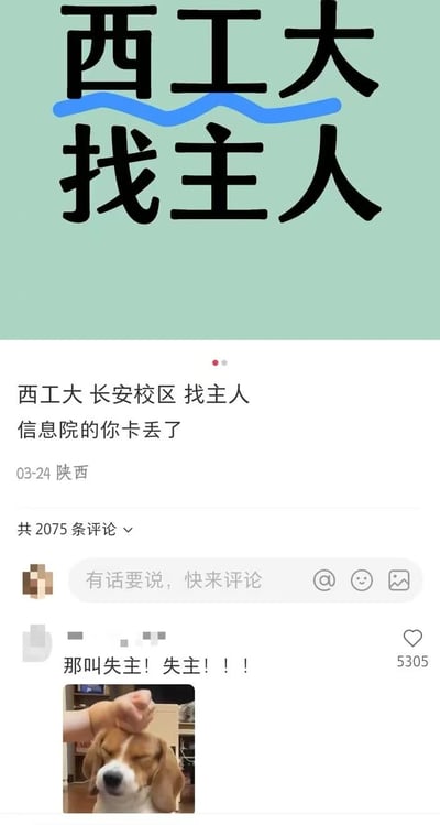 社交媒体截图，标题为“西工大找主人”，内容是西工大长安校区信息院的学生丢失卡片的失物招领启事。评论区高赞评论纠正“找主人”应为“失主”，并配有一张闭眼被抚摸的狗的图片，引发2075条评论，充满校园幽默氛围。