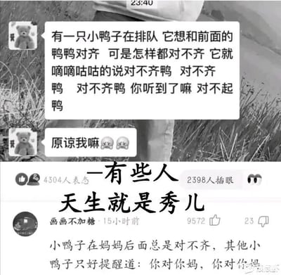 这是一张图文混排的社交媒体截图，整体分为上下两个区域。上半部分是聊天界面，使用小熊头像的用户发送了一段以小鸭子为主角的谐音梗段子：小鸭子排队时无法和前面的同伴对齐，嘴里念叨“对不齐鸭”，谐音“对不起呀”，以此委婉地向对方道歉，随后又发送了“原谅我嘛”搭配两个委屈的表情，进一步请求对方原谅。下半部分是一条社交媒体评论，用户“画画不加糖”创作了延伸的谐音梗段子：小鸭子在妈妈后面总是对不齐，其他小鸭子提醒它“你对你妈，你对你妈”，谐音“你对齐妈”。图中还配有文字“有些人天生就是秀儿”，用来调侃这位网友创作的延伸段子十分巧妙。整个内容都运用了谐音的手法，将“对齐”与“对起”、“对不齐”与“对不起”进行谐音替换，创作出充满趣味的道歉类搞笑段子，风格轻松诙谐。