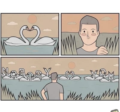三格漫画描绘了浪漫的天鹅告白场景。第一格两只天鹅在湖面上形成心形,第二格一位男子躲在草丛后偷看,面带微笑和红晕,第三格男子看到更多天鹅排列成'NOBODY YOU'的字样,中间依然是那对心形天鹅。这是一种创意表白方式,用天鹅队形拼出英文短语,表达'除了你之外没有别人'的浪漫含义。
