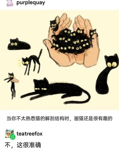 这是一张由海外画师purplequay创作的手绘搞笑梗图，画面中呈现了8种形态极度抽象、违背常规动物解剖结构的黑色猫咪：有的被双手捧在手心堆成一团，密密麻麻的黄眼睛极具视觉冲击力；有的被压缩成扁平的黑块，仅露出一对眼睛；有的被拉伸成长条状，四肢纤细修长；有的身体被人手拎着，姿态怪异；有的长着不符合比例的超长脖子；有的弓背弯腰，身体紧绷如弹簧；有的则是慵懒地趴卧在平面上，眼神半睁；还有的身体直立，四肢呈张开手臂的姿态。图上方配文画师的调侃：“当你不太熟悉猫的解剖结构时，画猫还是很有趣的”，下方有用户teatreefox回复评论：“不，这很准确”，精准戳中猫咪作为“液体动物”，日常中经常做出各种扭曲、柔软、看似违背身体结构的真实动作，用夸张抽象的方式还原了猫咪的神奇属性，引发养猫群体的强烈共鸣，充满搞笑与治愈感。