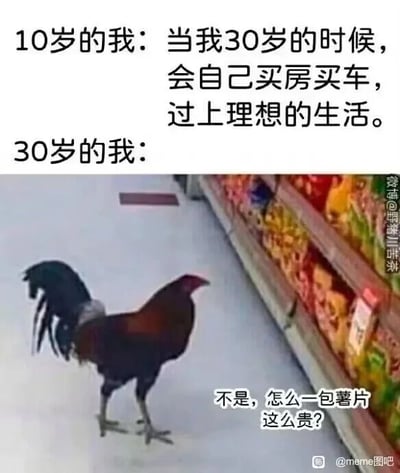 这是一张上下对比的图文混排梗图，上方文字呈现10岁时对30岁的美好憧憬：认为自己到30岁能买房买车，过上理想生活；下方则是30岁的现实写照，用一只站在超市货架前的公鸡来代指30岁的自己，配文吐槽薯片价格太贵。通过这种强烈的理想与现实的反差，自嘲式地调侃了当代年轻人成年后面临的经济压力，曾经的远大理想被柴米油盐的日常琐事取代，充满了无奈又搞笑的情绪，引发同龄人的共鸣。