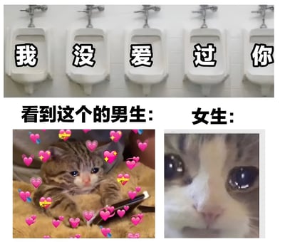 图片由三部分组成。顶部是五个并排的白色小便池，每个小便池上方分别叠加黑色文字“我”“没”“爱”“过”“你”，组合成句子“我没爱过你”。中间部分是文字说明，左侧为“看到这个的男生：”，右侧为“女生：”。底部左侧是一只虎斑小猫，周围环绕着大量粉色爱心和星星表情，小猫眼神可爱地看着前方；底部右侧是一只白猫的脸部特写，眼睛睁大，眼神中带着困惑和一丝茫然。通过小便池文字与不同性别看到后的猫咪反应形成幽默反差，男生反应对应爱心环绕的可爱小猫，女生反应对应困惑的猫咪特写。