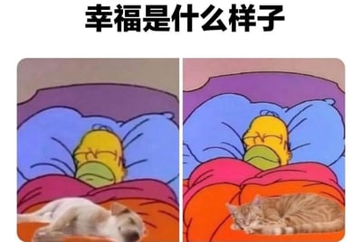 这是一张双面板对比梗图，上方文字写着'幸福是什么样子'。左侧面板显示荷马·辛普森在床上睡觉，旁边有一只白猫；右侧面板显示荷马仍然在睡觉，但旁边换成了一只橘猫。通过猫咪品种的变化幽默地诠释了幸福的简单定义。