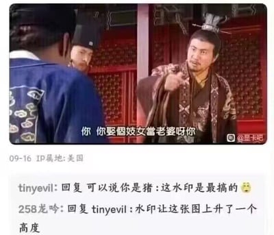 图片展示了古装剧场景中两名男子的激烈对话，右侧男子身着深色花纹长袍，手指左侧穿蓝色官服的男子，怒斥对方“你 你娶个妓女当老婆呀你”。画面下方附带百度贴吧的评论互动，用户“tinyevil”和“258龙吟”调侃图中“@显卡吧”水印为图片增添了趣味性。整体场景充满戏剧冲突，结合幽默的水印和评论区互动形成搞笑效果。