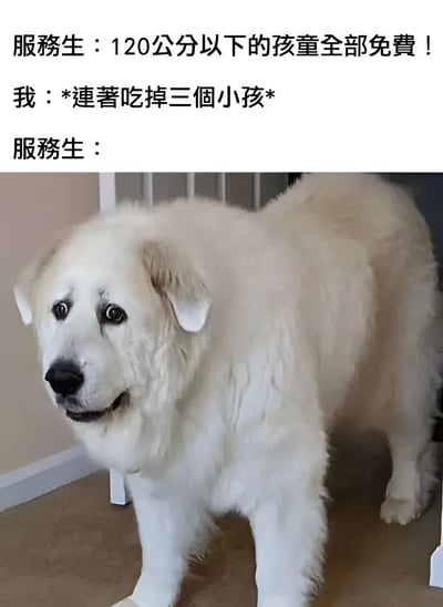 图片上方为三段对话文字，服务员称“120公分以下的孩童全部免费！”，“我”回应“*连著吃掉三個小孩*”，最后“服务员：”后接一张大白熊犬的照片。狗狗毛发雪白蓬松，眼神困惑地站立在室内，似乎在表达服务员听到离谱回答后的震惊与不解。通过夸张的误解（将“免费”曲解为可以“吃掉”小孩）制造黑色幽默效果。