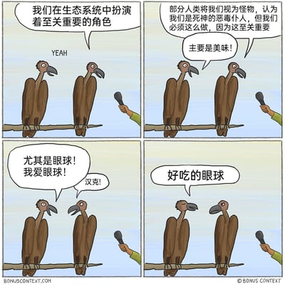 这是一组四格连环卡通漫画，以人类手持话筒采访两只站在树枝上的秃鹫为场景。第一格中，一只秃鹫严肃地向采访者说明秃鹫在生态系统中承担着至关重要的角色，另一只秃鹫简单附和；第二格中，这只秃鹫继续解释部分人类将它们视作死神的恶毒仆人，但它们的行为是出于生态必要性，而另一只秃鹫却直白地拆台，称这么做“主要是美味！”；第三格中，这只直白的秃鹫被同伴叫做汉克，它兴奋地大喊“尤其是眼球！我爱眼球！”，同伴出声试图制止它的失态；第四格中，汉克依然沉浸在对食物的喜爱中，念叨着“好吃的眼球”，同伴则无奈地闭起眼睛。漫画通过拟人化的创作手法，用严肃的生态科普话题作为开篇，转而揭露秃鹫喜爱腐肉尤其是动物眼球的真实习性，制造出强烈的反差感，以此达到幽默搞笑的效果。