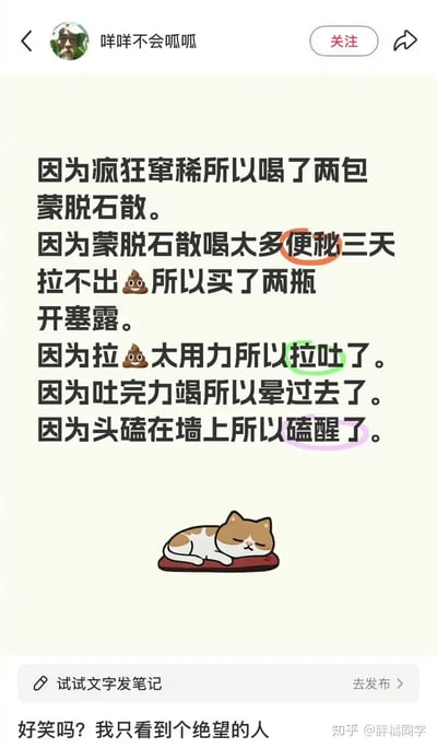 这张图通过幽默的递进因果关系，讲述了一个人（猫）因腹泻吃药、吃药后便秘、用力拉导致呕吐、呕吐晕倒、撞墙又清醒，如此无奈又绝望的循环。整体风格夸张好笑，带有屎尿屁“低级趣味”，表达了荒谬生活困境下的自嘲和无力。

特殊说明：
- 图中多处使用表情emoji（💩）和彩色划线加强笑点。
- 文末配有评论“我只看到一个绝望的人”，呼应了故事主线。
- 无谐音梗，但有典型的因果链荒诞梗。
