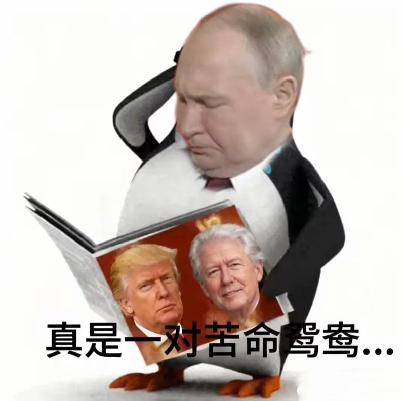 唐纳德·特朗普