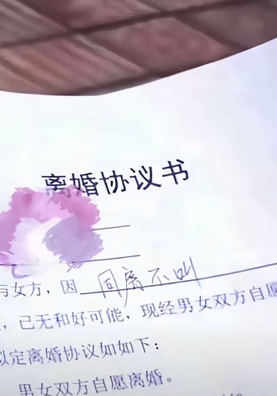 这是一张翻拍的离婚协议书局部静态梗图，图中可见离婚协议的标准格式文本，在填写离婚原因的空白位置，有人手写了“同房不叫”的低俗内容后将其划掉，整体内容离谱搞笑，属于网友创作的玩梗内容，以不符合常理的离婚理由制造笑点。
