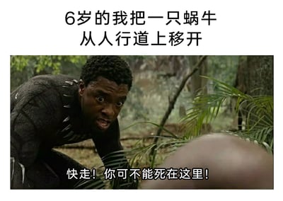 这是一张通过影视截图二次创作的搞笑梗图，上方用文字说明“6岁的我把一只蜗牛从人行道上移开”，下方是截取自动漫改编电影《黑豹》的画面，画面中的黑豹俯身向前，眼神急切、嘴巴大张，配上台词“快走！你可不能死在这里！”。该梗图将童年时期救助蜗牛的微小善意，用影视中紧张严肃的英雄画面进行夸张呈现，通过强烈的反差感，生动地还原了小时候面对弱小生命时的认真与共情心态，制造出幽默搞笑的效果，让人会心一笑的同时也能联想到童年时的纯真与善良。