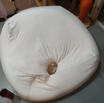 一张温馨的居家照片，画面中央是一个巨大的白色豆袋沙发，表面布满自然的褶皱。在豆袋正中心的凹陷处，一只橘色的小猫蜷缩成一团，睡得正香，只露出小小的脑袋和部分身体，显得格外迷你可爱。背景中隐约可见木质猫爬架、橙色编织花瓶等家居陈设，整体氛围舒适治愈。