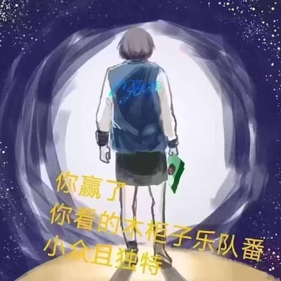 这是一张二次元玩梗图，画面呈现的是《BanG Dream! It's MyGO!!!!!》中的角色高松灯的背影，她站在发光的环形通道前，背景是布满星点的深色夜空，人物穿着带有字样的外套，手持物品。图中配文“你赢了 你看的木柜子乐队番 小众且独特”，其中“木柜子”是粉丝对《BanG Dream! It's MyGO!!!!!》的谐音戏称（MyGO谐音木柜子），用来调侃这部乐队番的小众属性，传递出一种“喜欢小众事物就赢了”的戏谑玩梗意味，整体画风为手绘动漫风格。