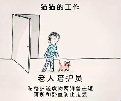 这是一幅卡通风格的图文混排搞笑图，顶部配有文字“猫猫的工作”，画面主体是一位穿着带圆点图案睡衣的老人，正迈步向前走，一只粉色的小猫紧跟在老人身侧。画面下方标注文字“老人陪护员”，并附有小字说明“贴身护送废物两脚兽往返厕所和卧室防止走丢”。图中以拟人化的方式，将猫咪日常跟随主人起夜的行为，调侃成猫咪担任“老人陪护员”的工作，用“废物两脚兽”的戏称调侃人类，充满了养猫人士的趣味自嘲，生动还原了养猫生活里猫咪黏人跟随的日常场景。