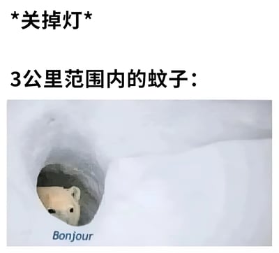 图片上方文字为“*关掉灯*”，中间文字为“3公里范围内的蚊子：”，下方是一幅插画，画面中一只熊从类似洞穴的地方探出头，背景为白色（似雪地），底部有“Bonjour”字样。整体通过夸张手法，将关灯后蚊子仿佛从远处蜂拥而至的场景，用熊突然出现的画面幽默表现出来，吐槽蚊子在黑暗中异常活跃的现象。