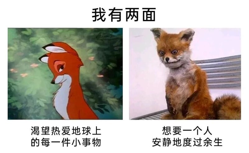 《狐狸与猎狗》