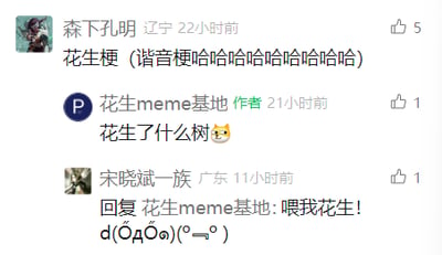 这是一张社交媒体评论区的截图，展示了三位用户围绕“花生”展开的趣味谐音梗互动。用户“森下孔明”首先点明内容是花生相关的谐音梗，并附上一连串的笑声表达趣味；作者“花生meme基地”抛出核心谐音梗“花生了什么树”，谐音“发生了什么事”，还搭配了猫咪表情；用户“宋晓斌一族”则回复作者“喂我花生”，谐音“为我发声”，同时加上两个惊讶的颜文字，整体互动充满网络搞笑文化的轻松感，是典型的网友玩梗场景。